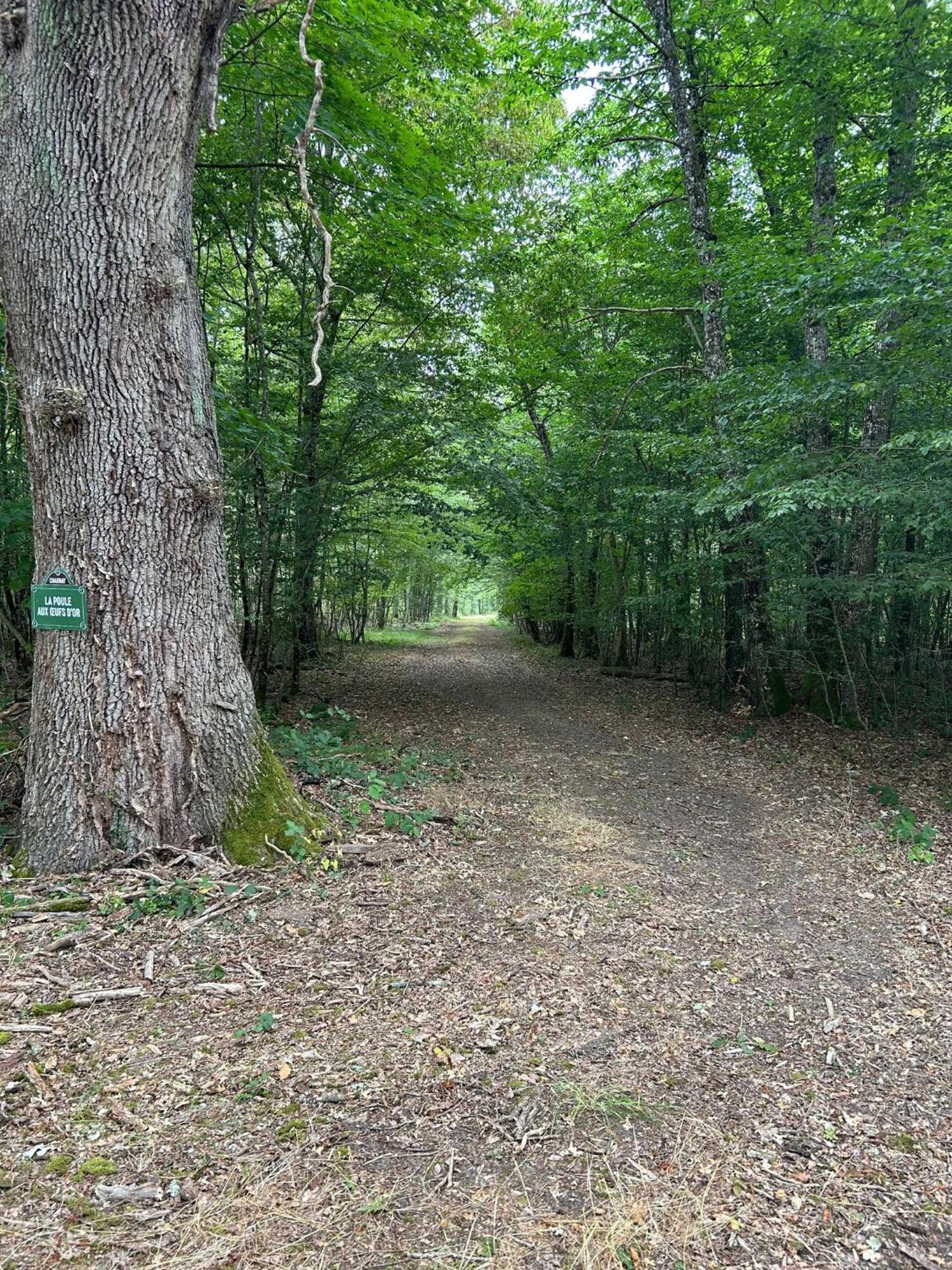 Domaine De Charnay - Charme Et Confort Dans Un Environnement D'Exception Vierzon Εξωτερικό φωτογραφία