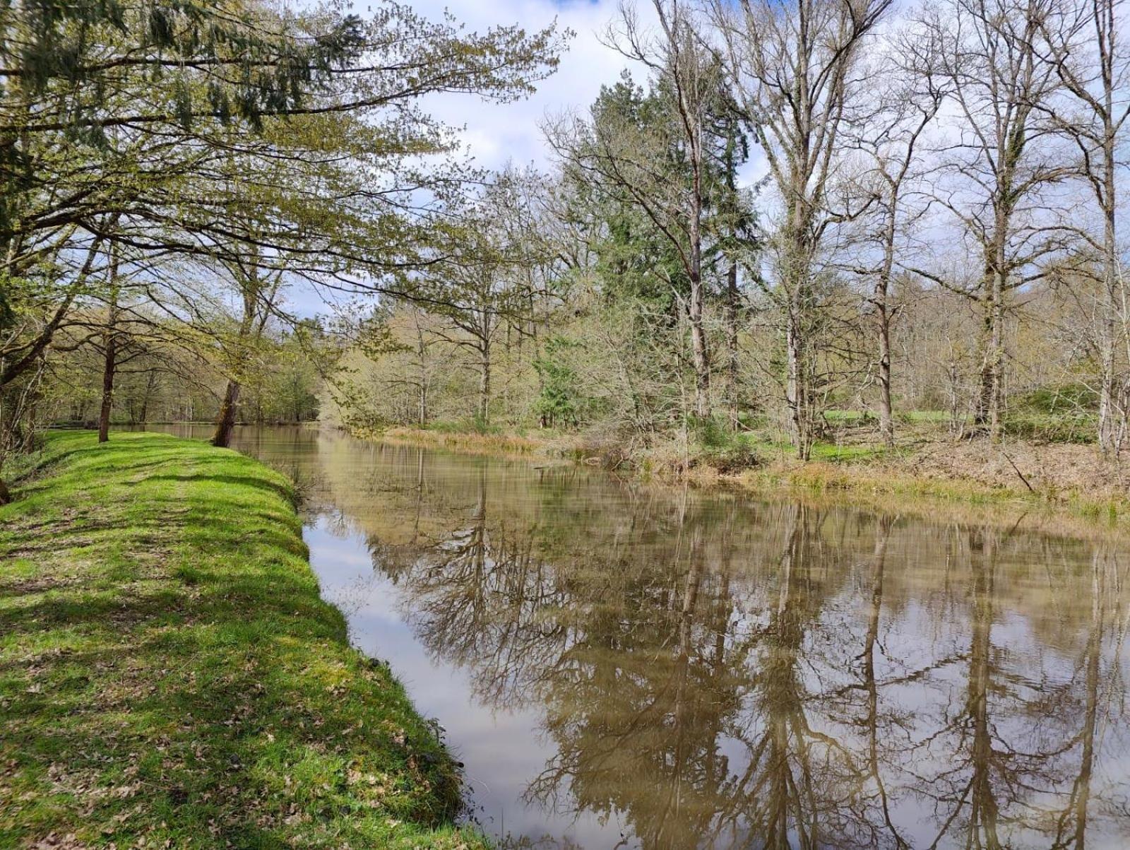 Domaine De Charnay - Charme Et Confort Dans Un Environnement D'Exception Vierzon Εξωτερικό φωτογραφία