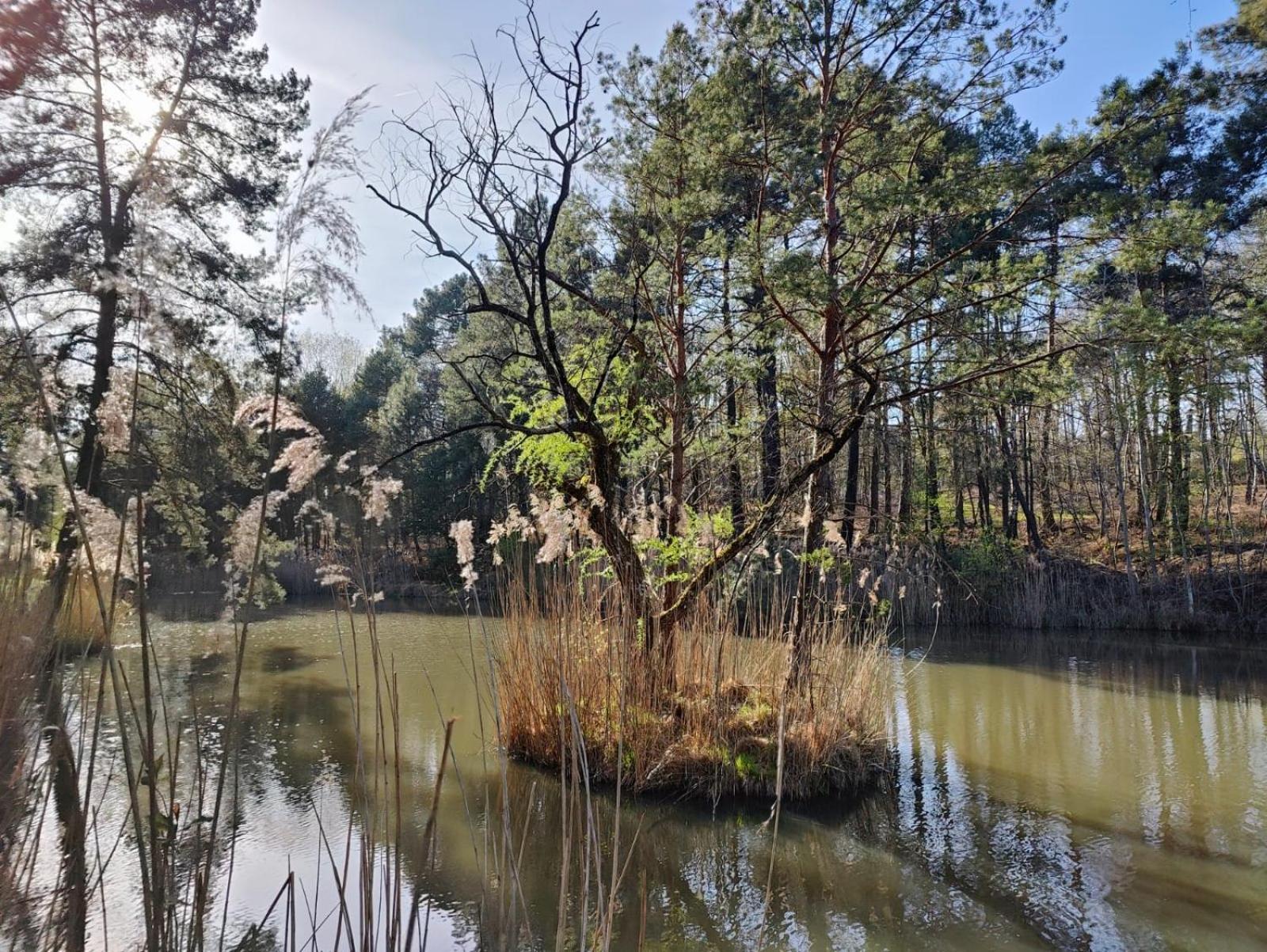 Domaine De Charnay - Charme Et Confort Dans Un Environnement D'Exception Vierzon Εξωτερικό φωτογραφία