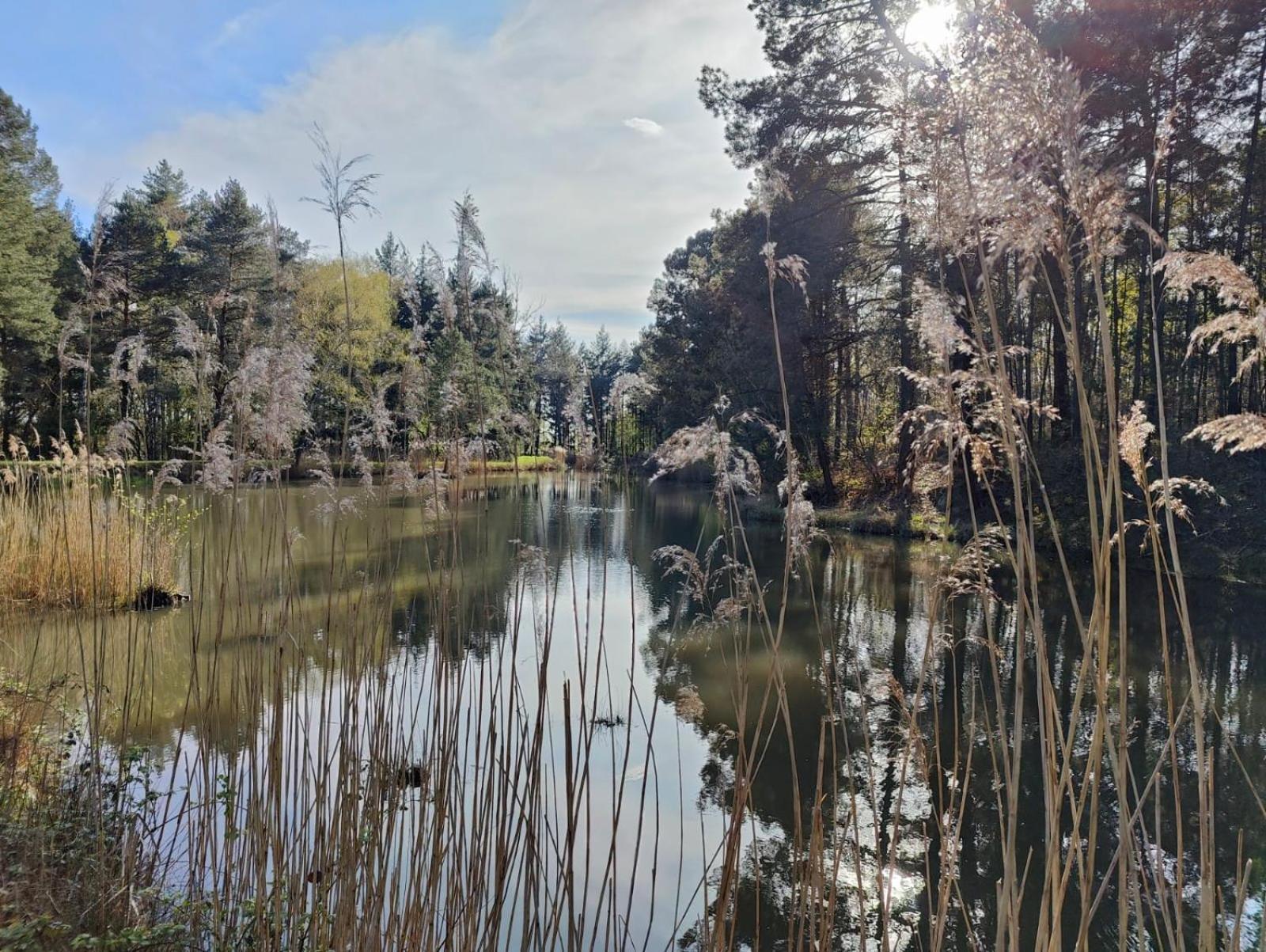 Domaine De Charnay - Charme Et Confort Dans Un Environnement D'Exception Vierzon Εξωτερικό φωτογραφία