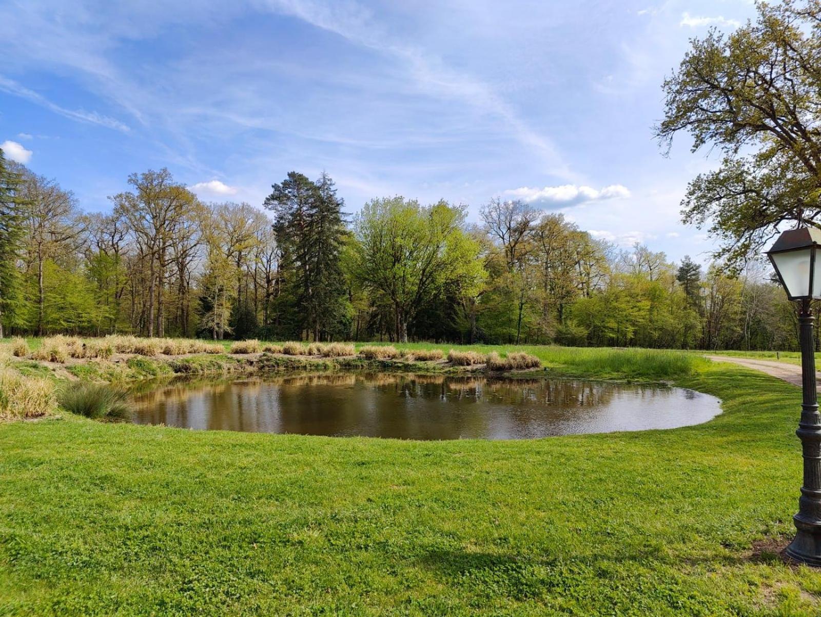Domaine De Charnay - Charme Et Confort Dans Un Environnement D'Exception Vierzon Εξωτερικό φωτογραφία