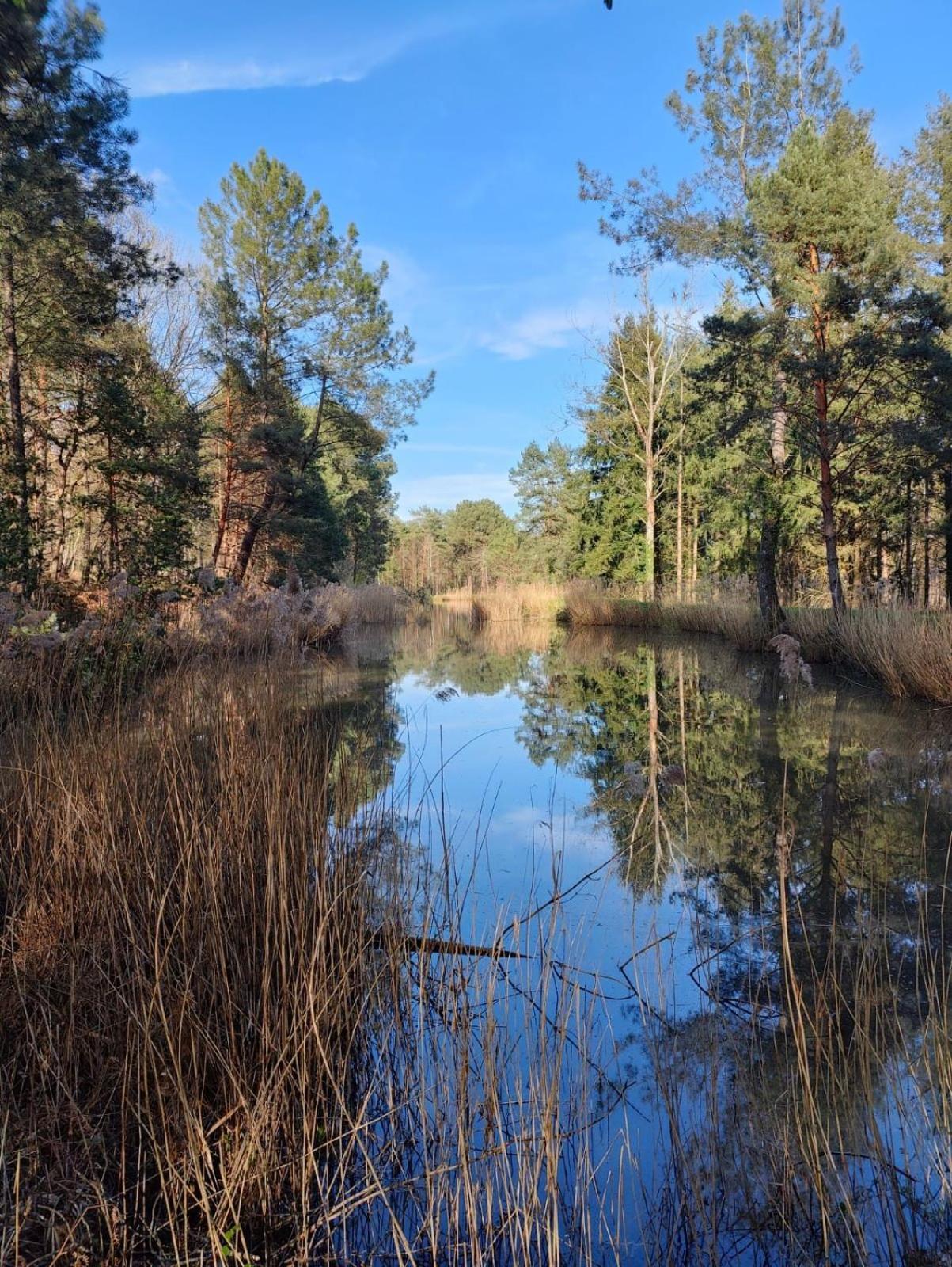 Domaine De Charnay - Charme Et Confort Dans Un Environnement D'Exception Vierzon Εξωτερικό φωτογραφία